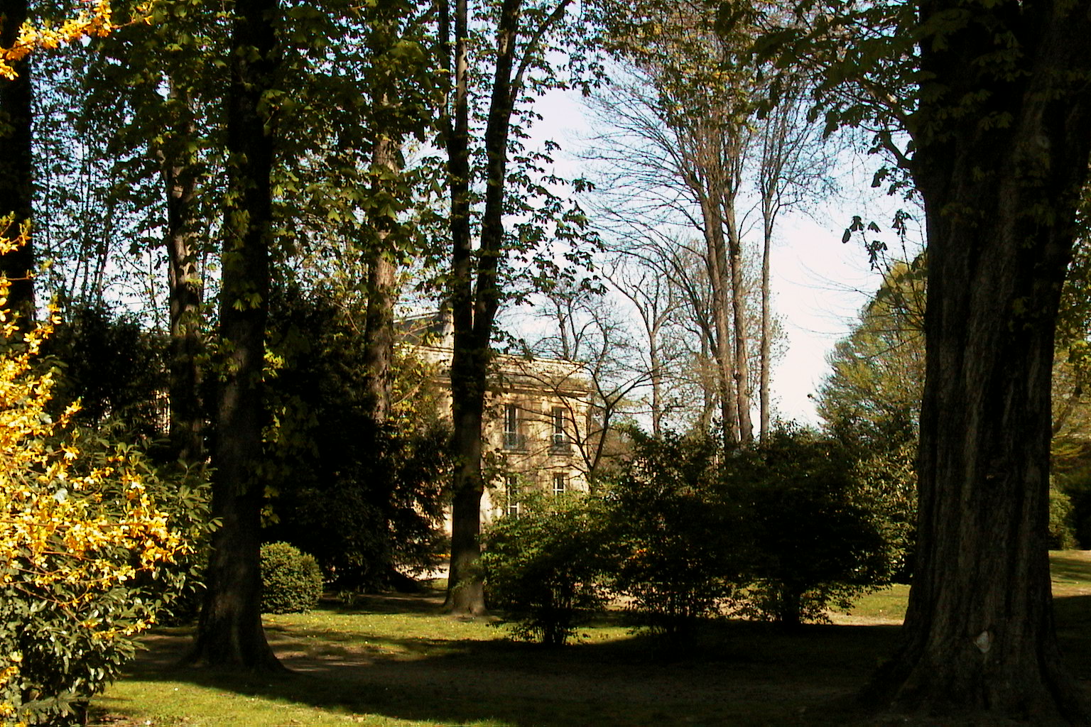 chevrette