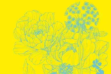 La Fête de la Nature & Les journées de l’innovation environnementale