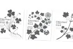 Exposition "Les trois herbiers"