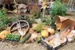 Journées Européennes du Patrimoine